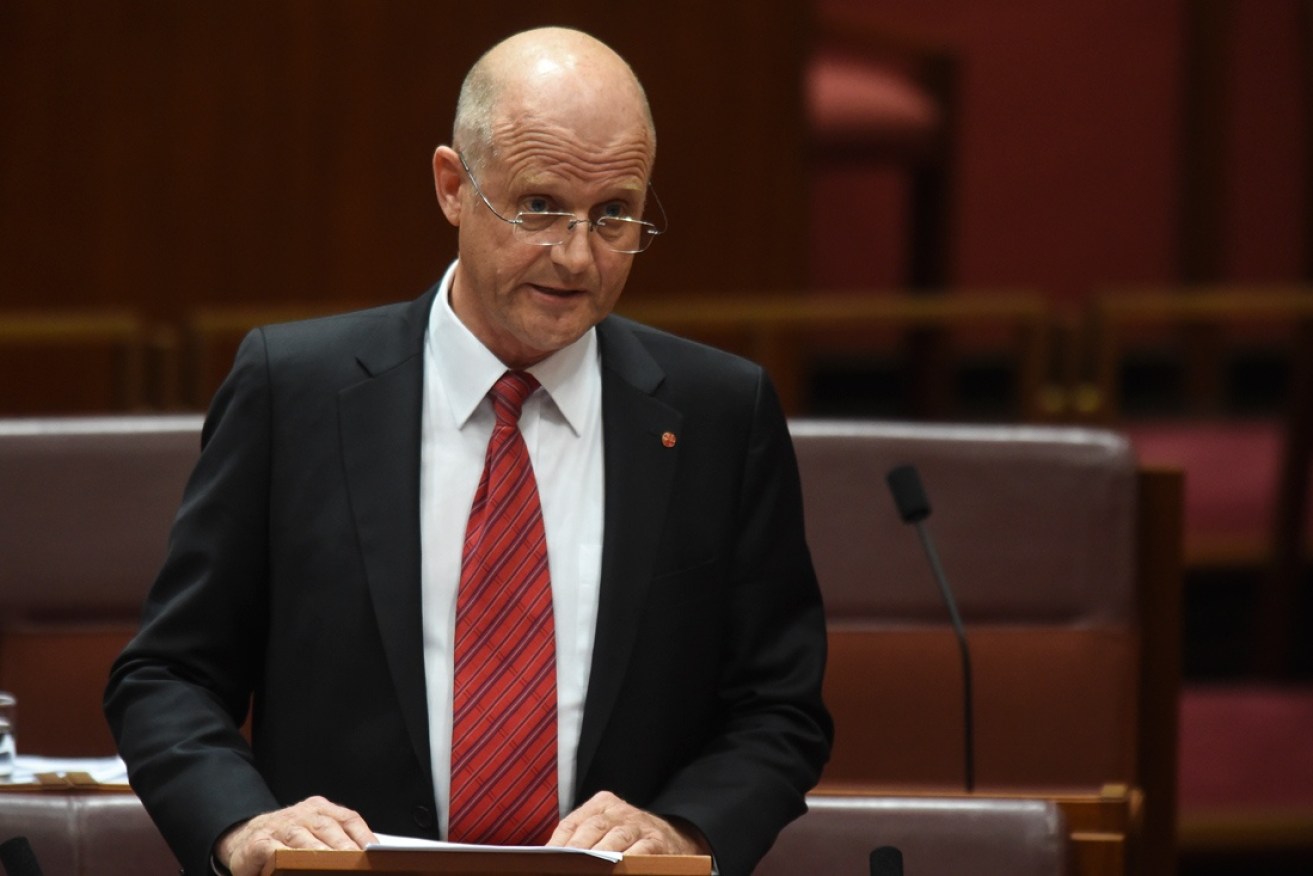 Senator Leyonhjelm speaks in the Senate. 