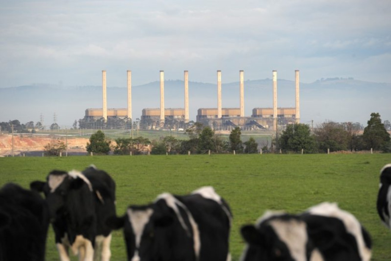 The closure of Victoria's Hazelwood power station removed the state's  single  largest carbon emitter from the grid, but it also cut power supplies by more than 20 per cent.