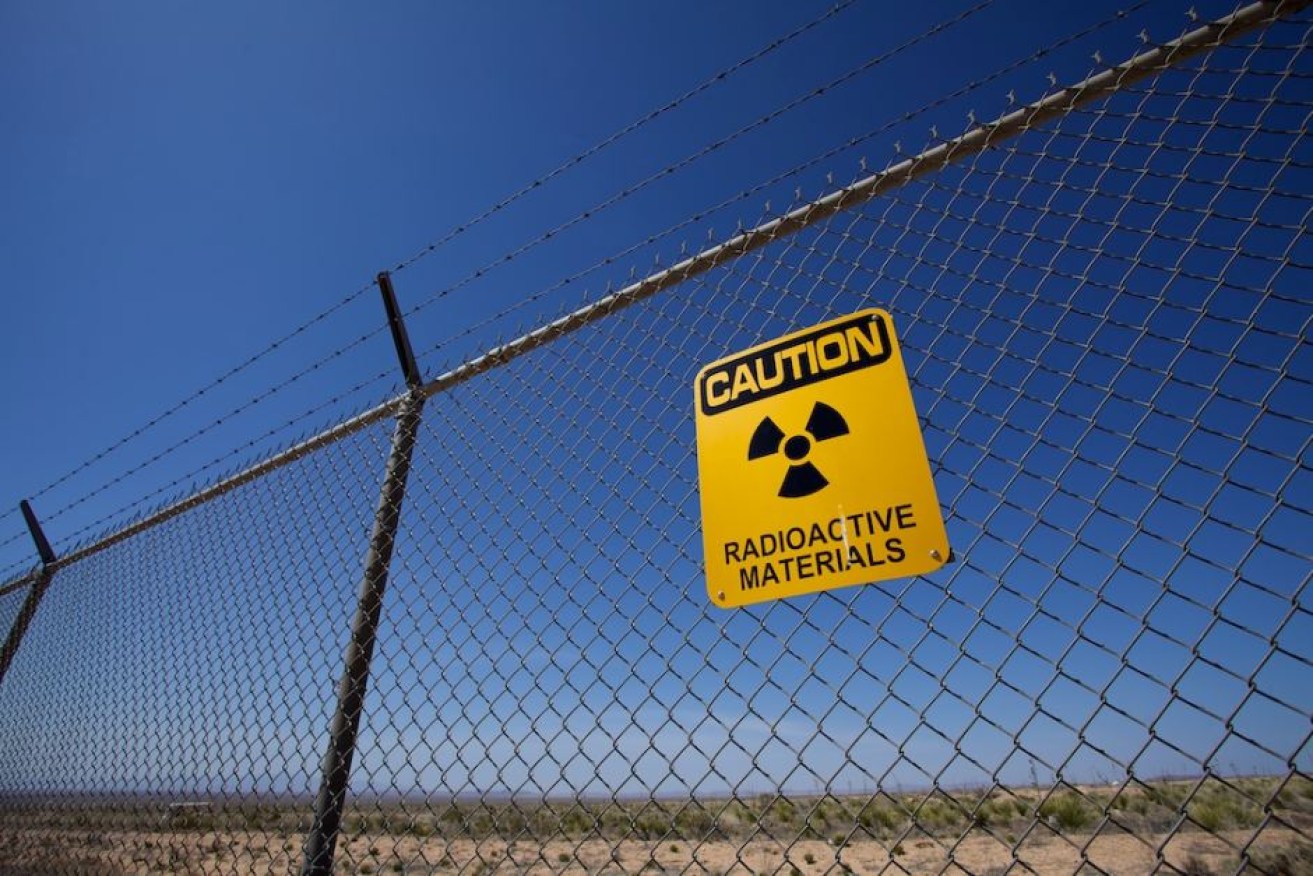 Two thirds of a citizen's jury did not want South Australia to store high-level nuclear waste "under any circumstances".