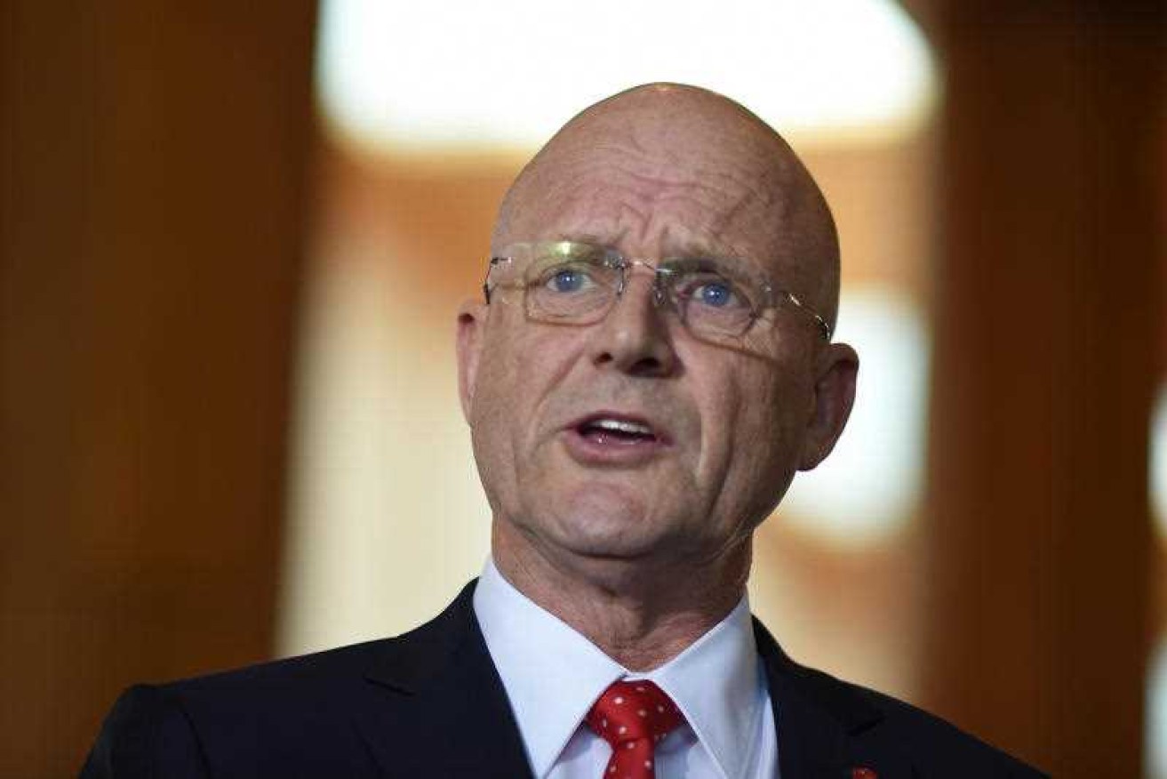Senator David Leyonhjelm has missed out on a seat in the NSW upper house.