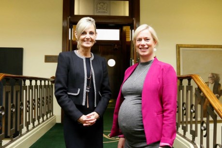 Tasmania to allow breastfeeding in Parliament