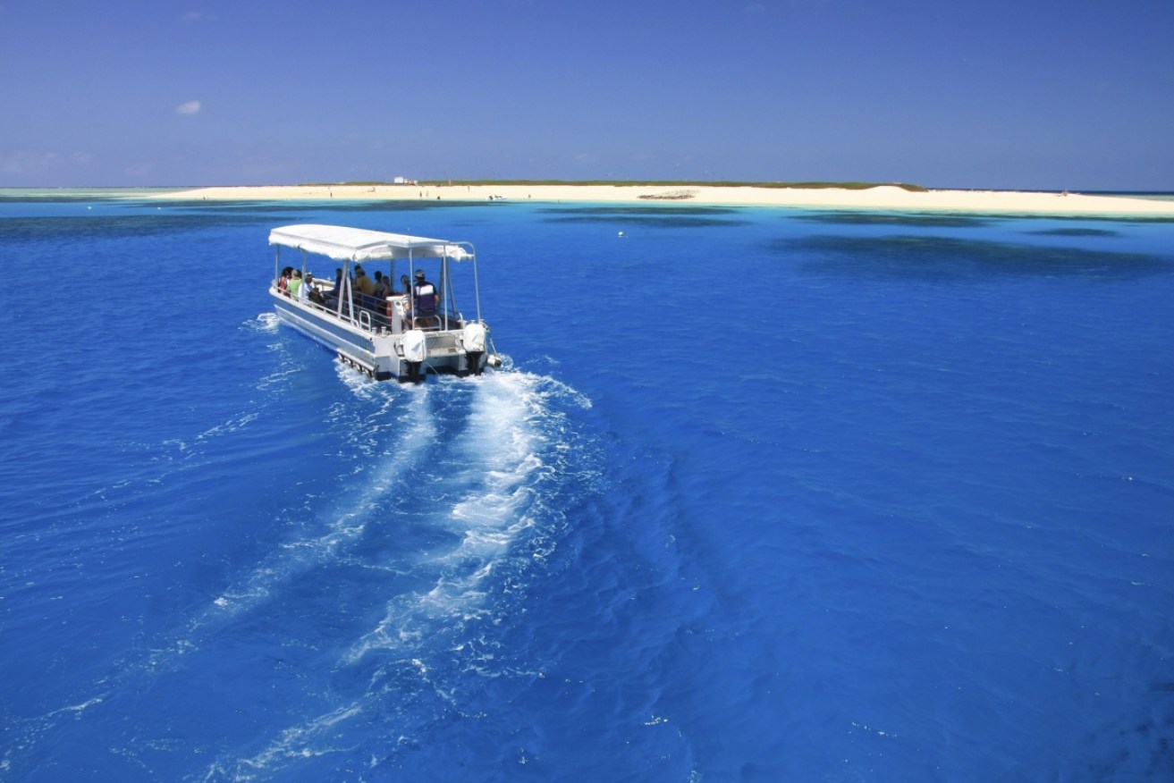 Michaelmas Cay is a popular diving spot off the Great Barrier Reef.