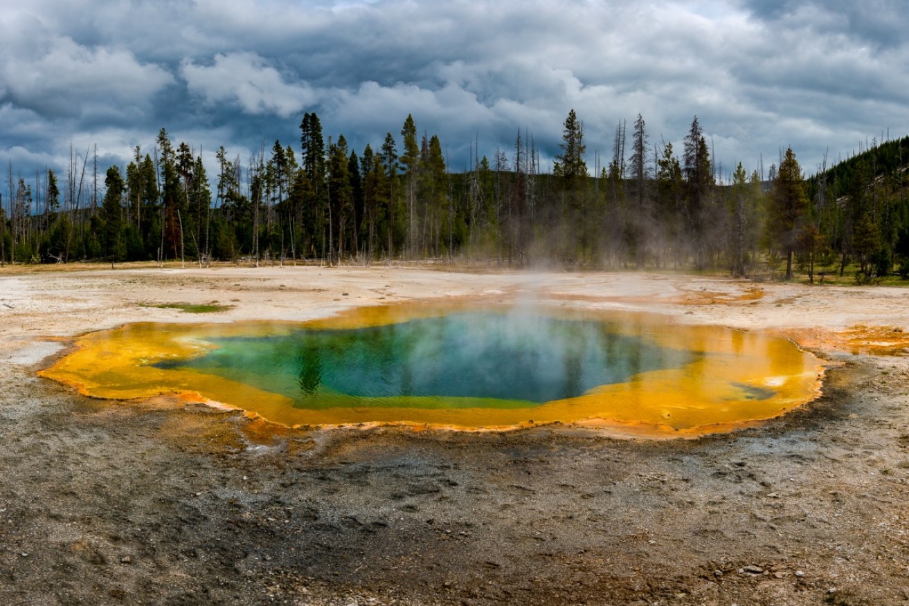 A man has died after falling into a Yellowstone hot spring.