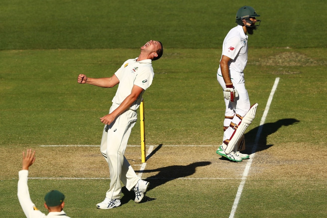 Jpsh Hazlewood celebrates taking the wicket of Hashim Amla for the fifth time in this series.