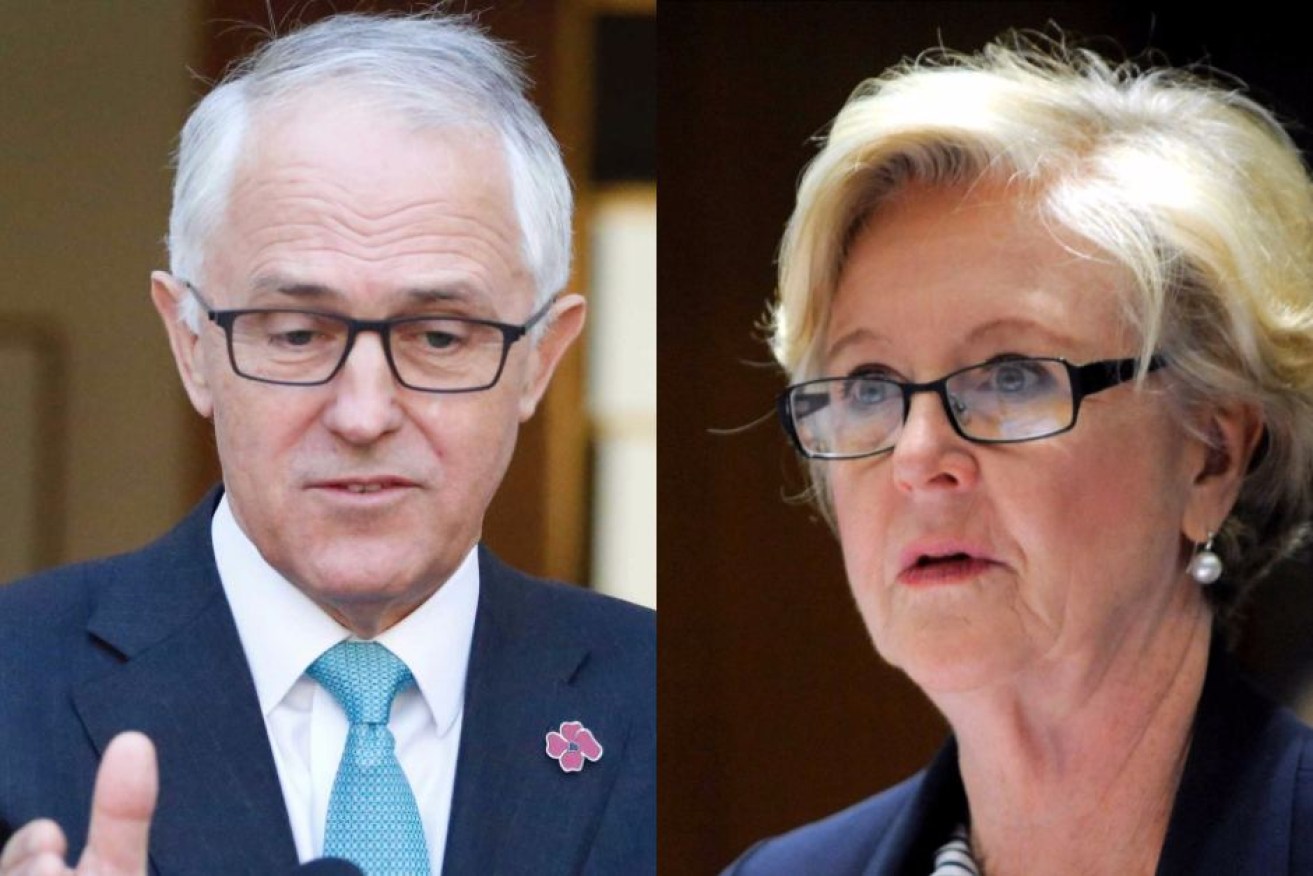 Malcolm Turnbull said there will be a new president of the HRC after Professor Triggs' term expires.