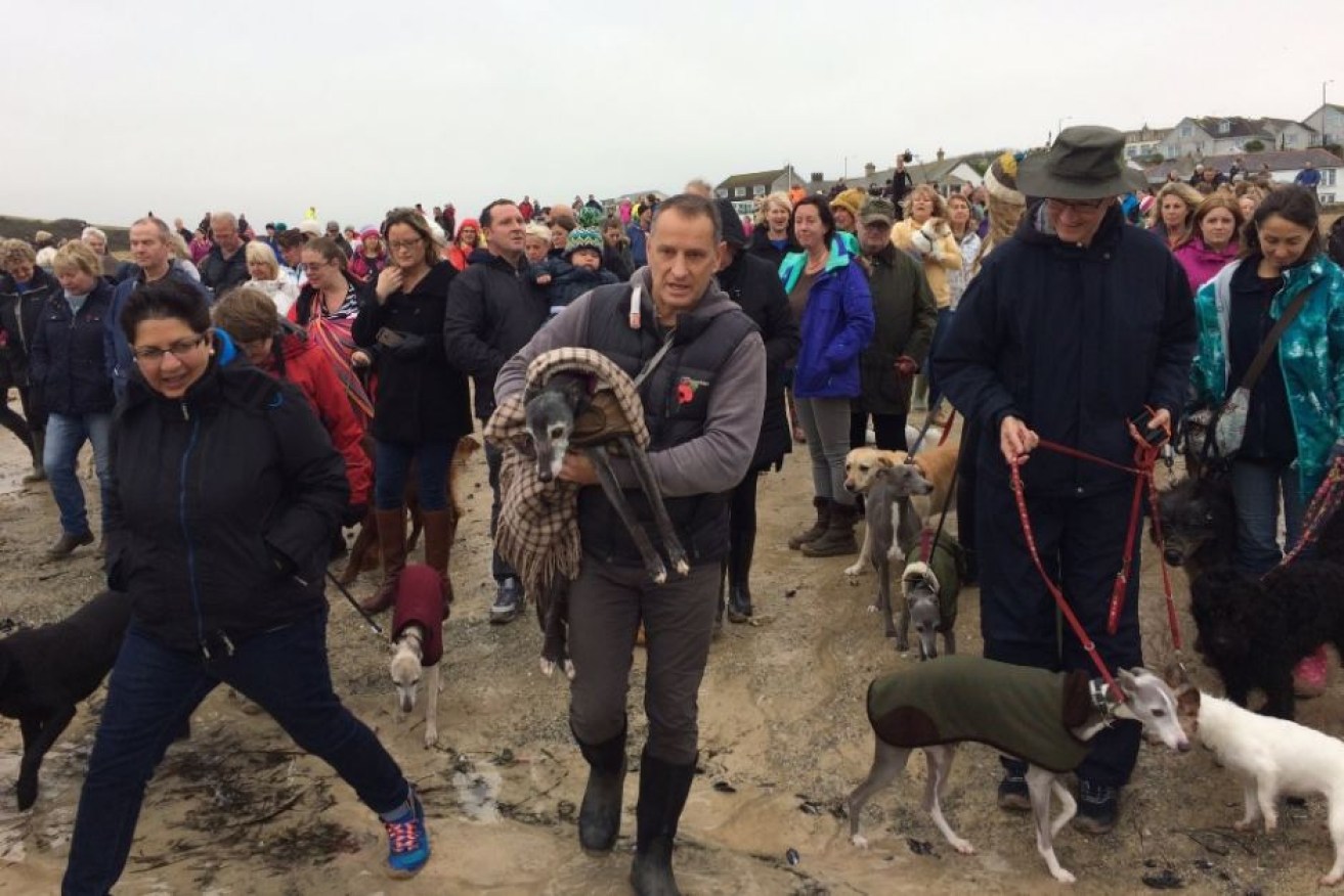 Mark Woods and Walnut (being carried) were joined by hundreds of dog walkers.