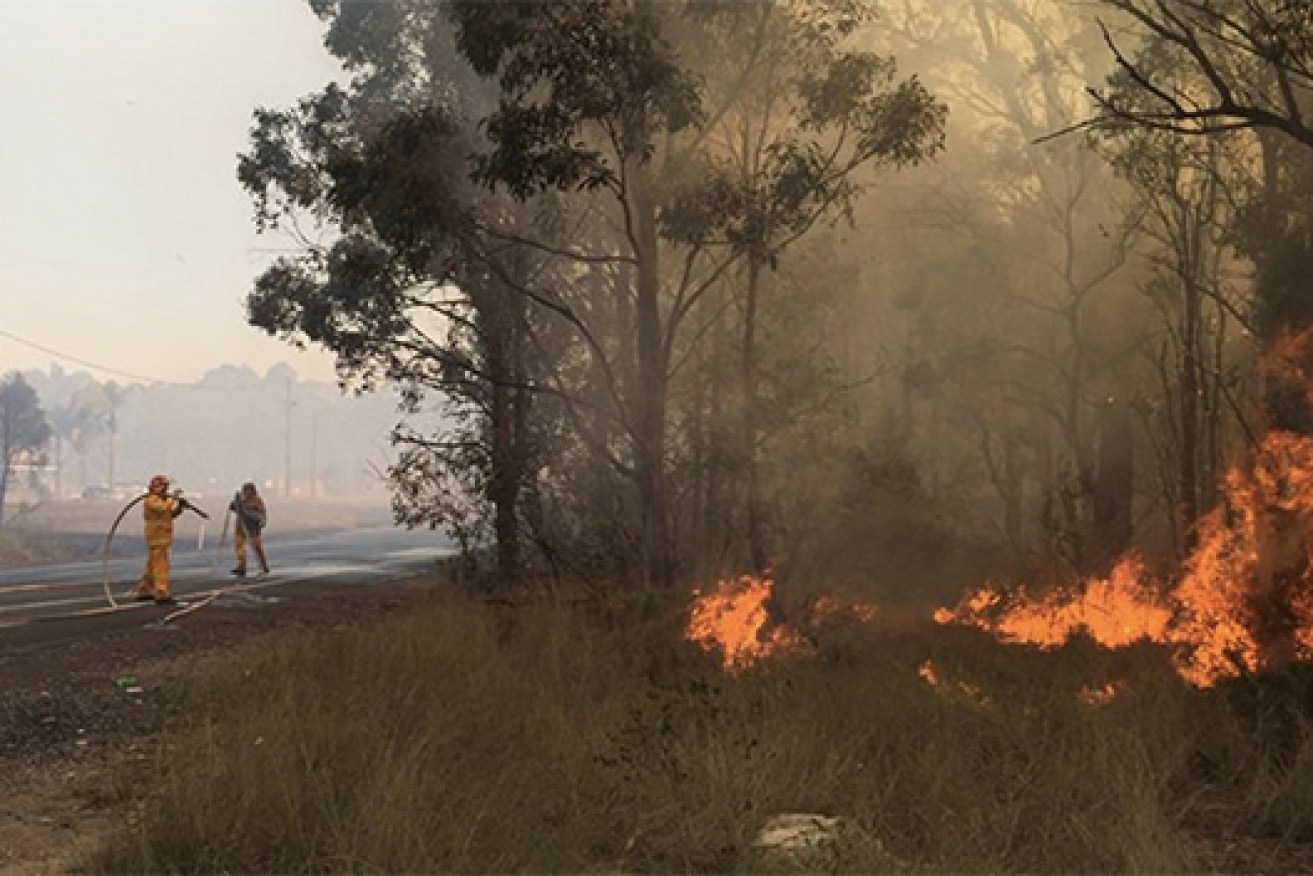 More than 200 firefighters were called to help control the Western Sydney fire. 