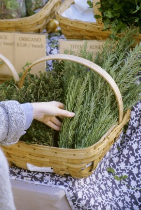Cooking With Rosemary ?resize=291%2C434?w=291quality=90