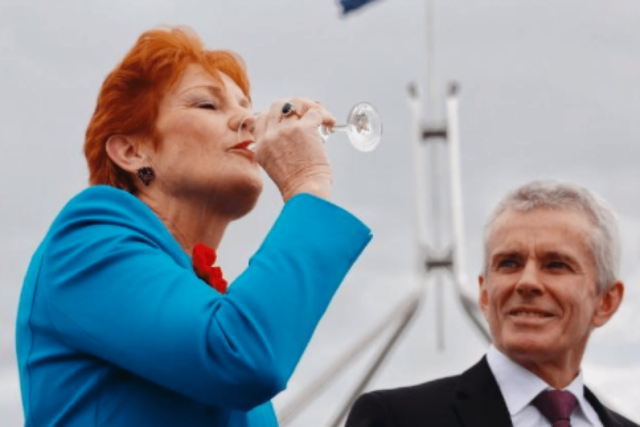 Pauline Hanson made a successful comeback to Australian politics in 2016.