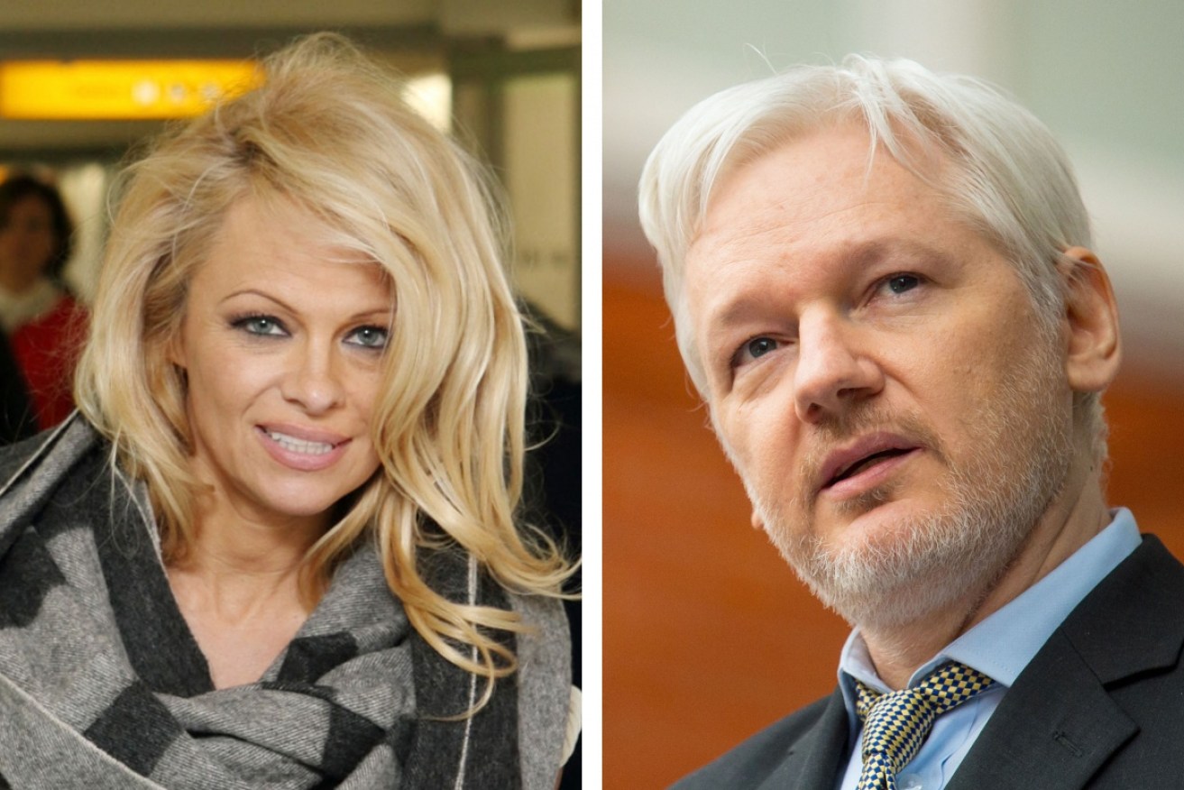 The visit has even prompted wild rumours that Assange and Anderson are dating. 