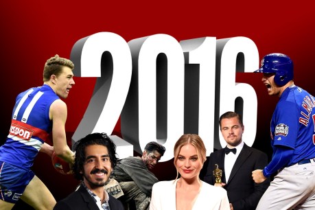 It wasn&#8217;t all bad! The good news stories of 2016