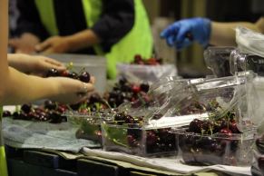 Cherries are fetching $20 per kilo in the lead-up to Christmas.
