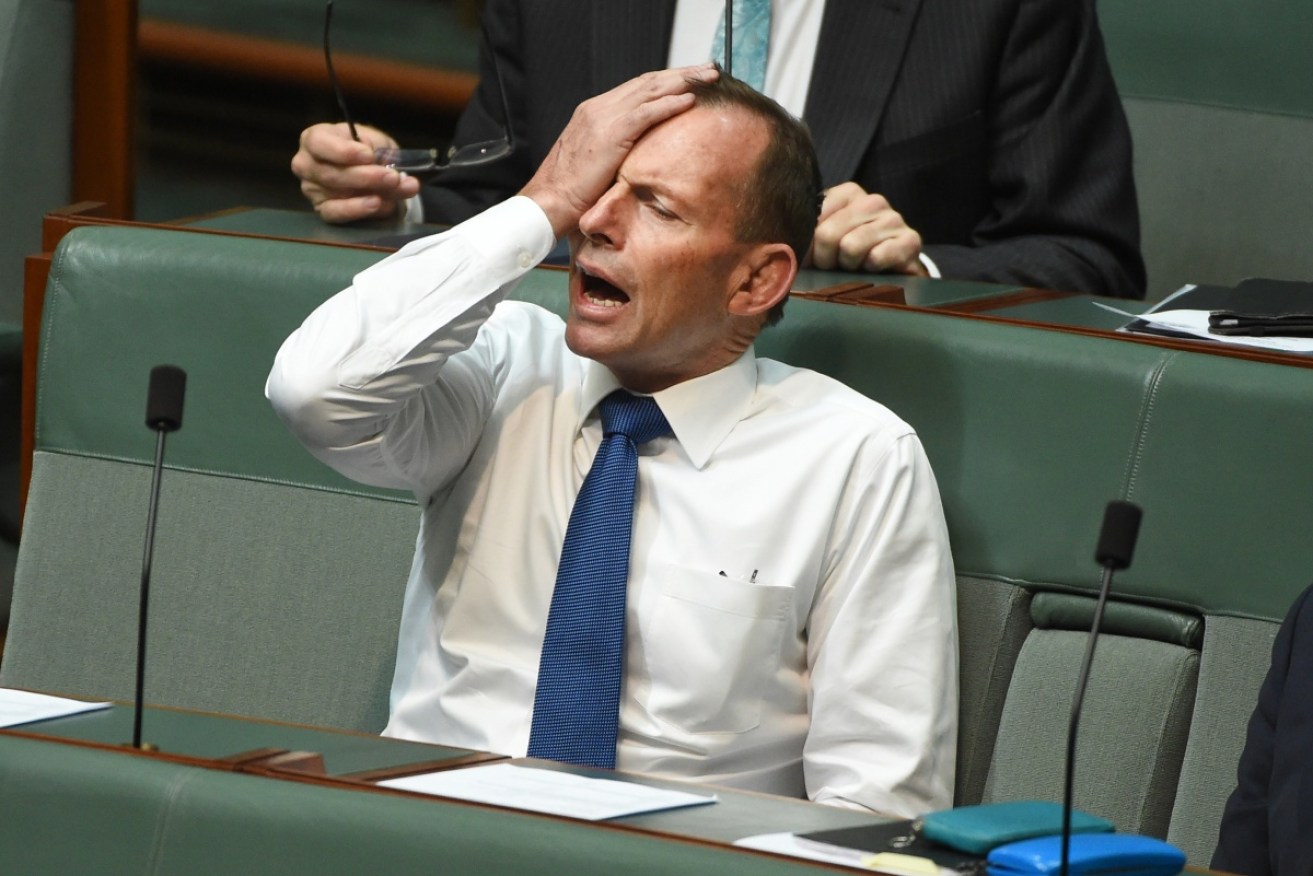 Former prime minister Tony Abbott remains on the Coalition's backbench. 