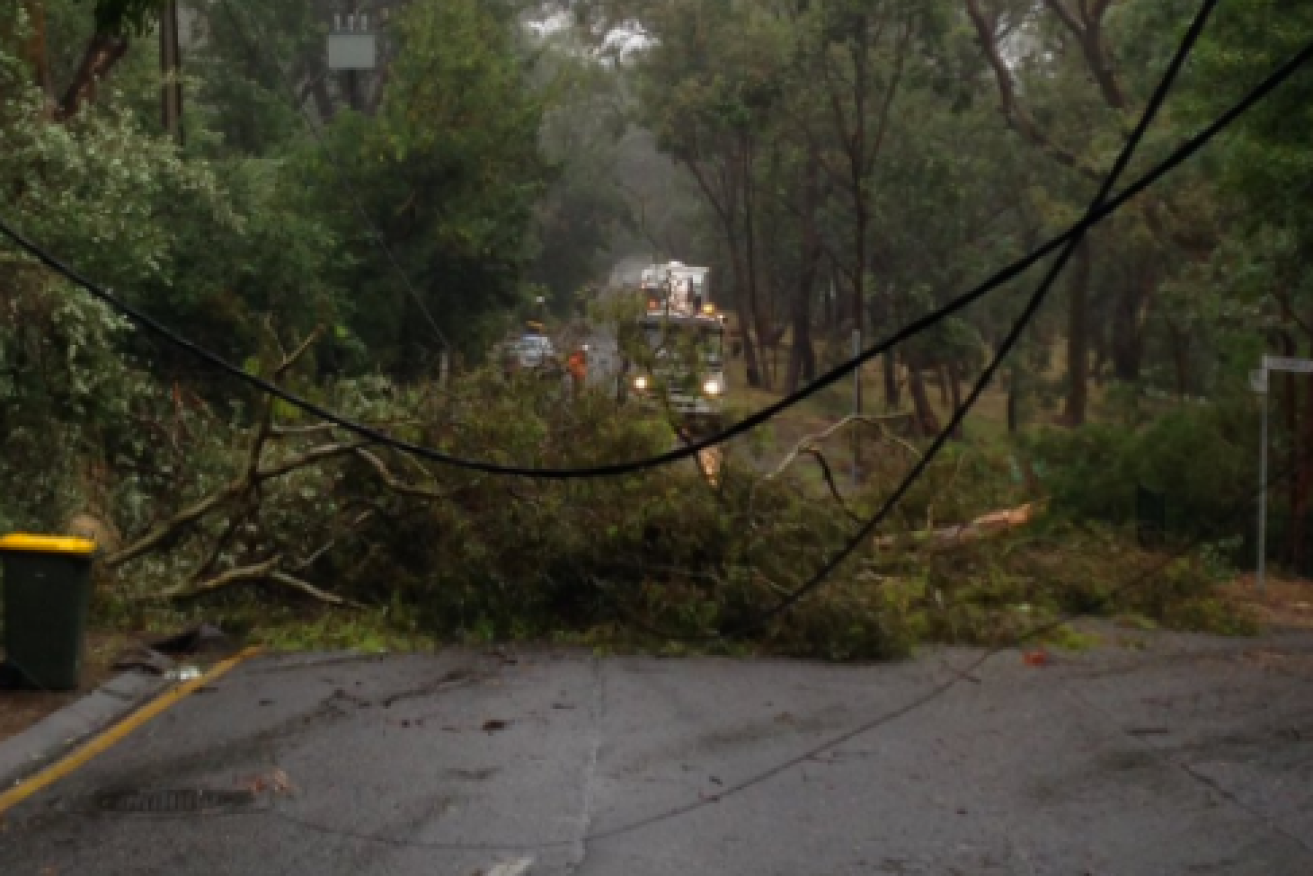 More than 350 power lines came down in the storm.