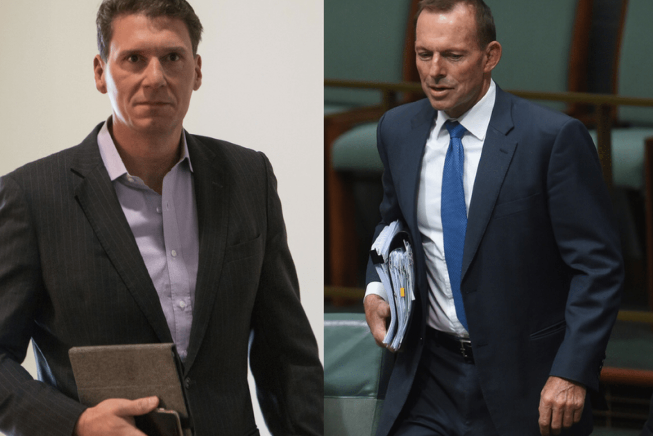 The only person talking about division in the party is Tony Abbott, says Cory Bernardi.