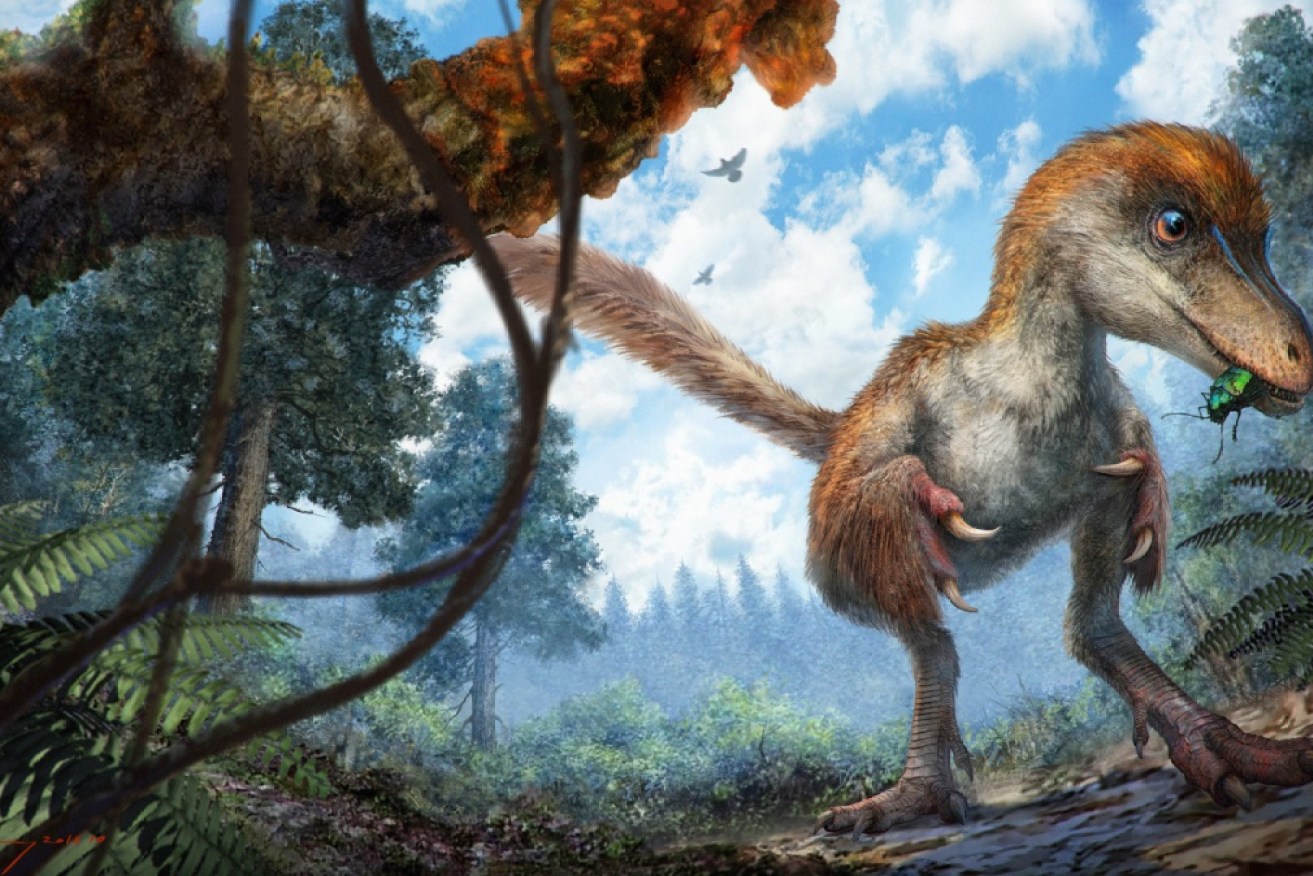 A new discovery suggests dinosaurs may have looked more like birds than we first thought.