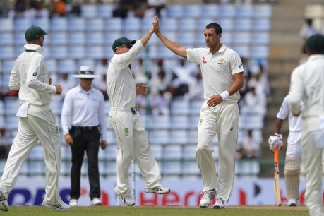 Voges, Warner, Starc in ICC Test team of 2016, Smith misses out