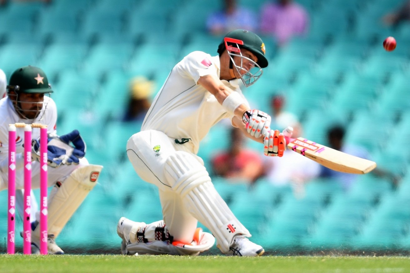 David Warner has set a raft of records for fast batting during this SCG Test.
