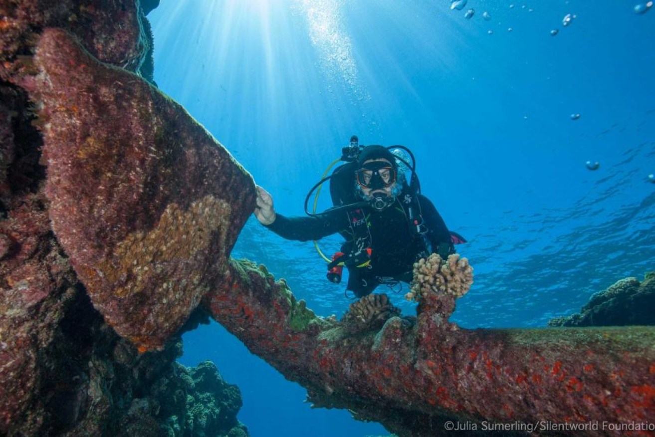 Divers at Kenn Reefs, 520 kilometres north-east of Bundaberg, found this wreck between six to 10 metres of water