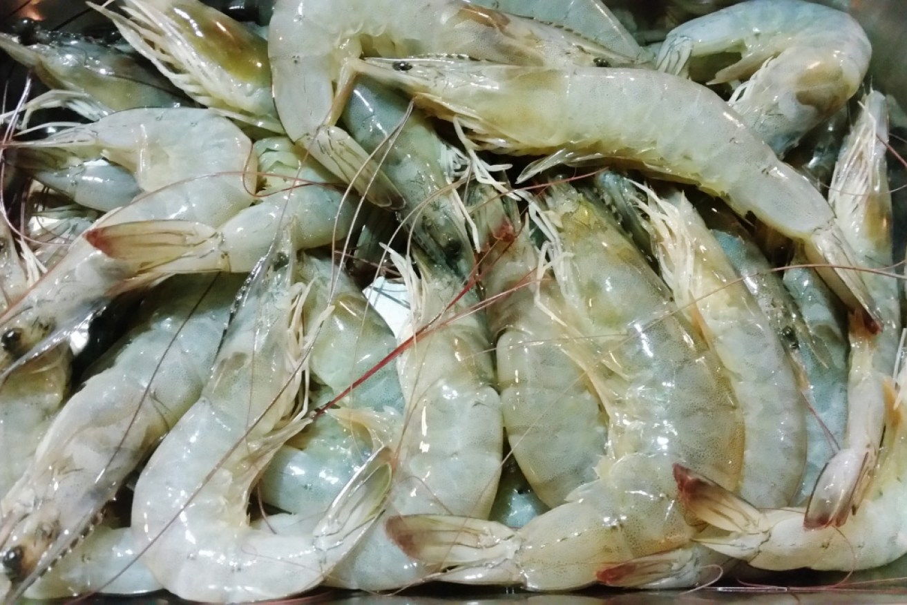 Millions of dollars of prawns have had to be destroyed in the past month. 