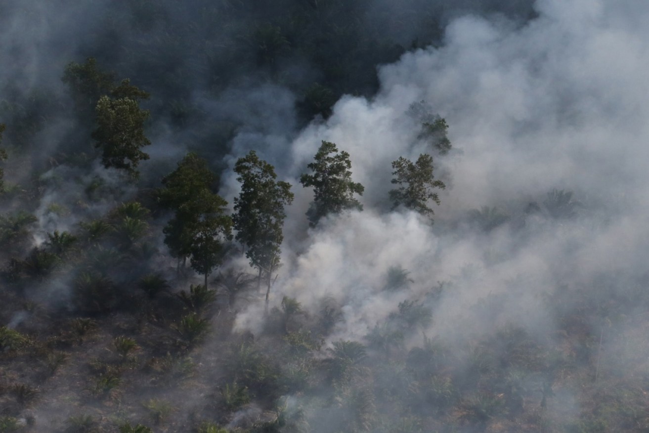 A peatland planted with oil palm burns in Indonesia’s Sumatra in 2015. Photo by Rhett A. Butler/Mongabay