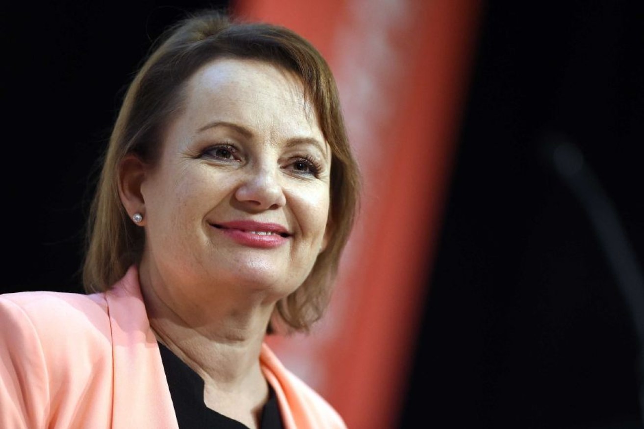 Sussan Ley's expenses scandal was a thorn in the government's side. Photo: AAP