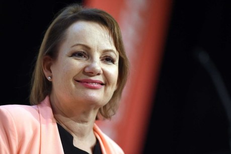Sussan Ley tried to buy Gold Coast home before apartment, residents say