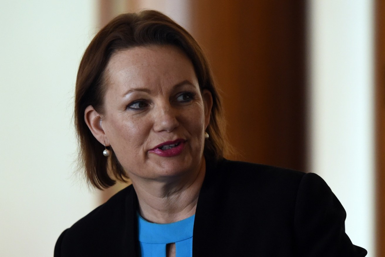 Sussan Ley bought a $800,000 property during one of the trips.