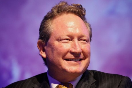 Mining magnate Andrew &#8216;Twiggy&#8217; Forrest donates $400 million to Australian charities