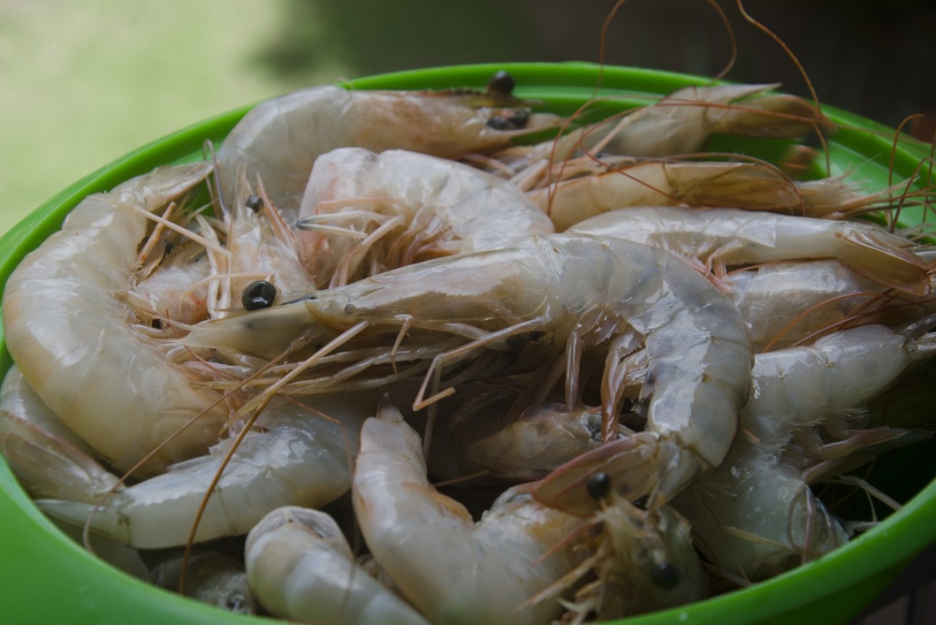Barnaby Joyce expressed concern that prawn farms could be infected. 