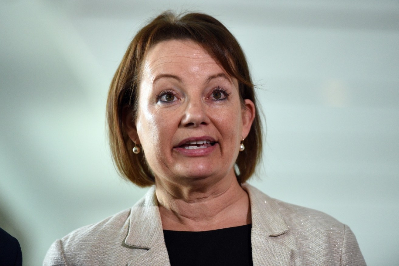 Health Minister Sussan Ley says the trip was within travel entitlements.