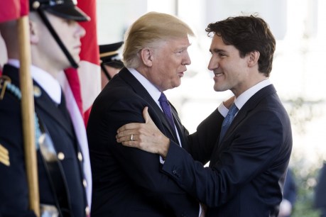 'Snowball's chance in hell': Trudeau hits back