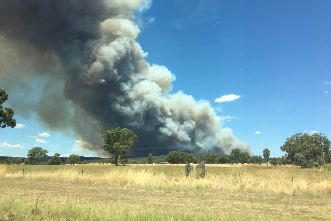 The NSW Rural Fire Service responds to a fire near Dunadoo where the temperature was 44C at 4pm. Photo: Twitter/@NSW RFS
