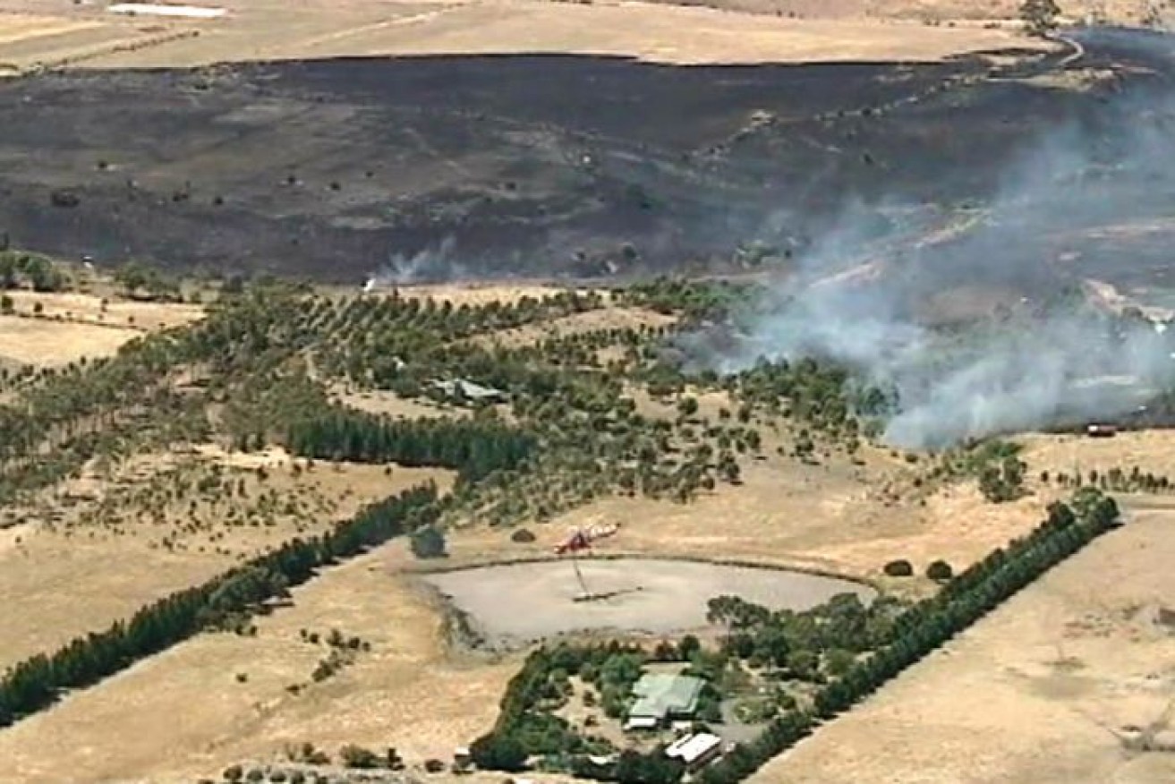 More than 30 CFA vehicles have been called to Digger's Rest in Melbourne's north west after an out-of-control grass fire. Photo: ABC News