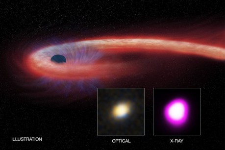 Binge eating black hole devours star twice the size of the Sun