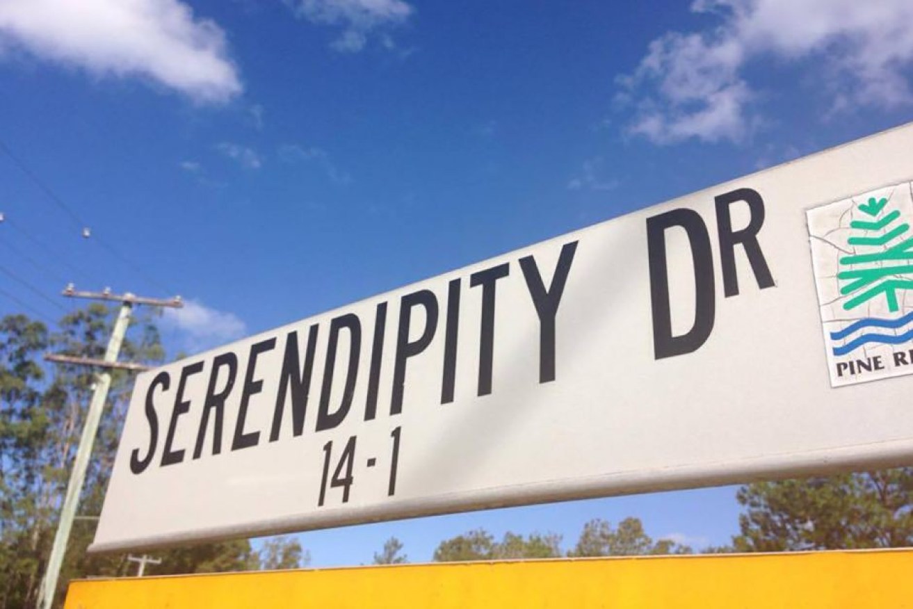 A amazing turn of events saved Di Wilschefski's life on Serendipity Drive.