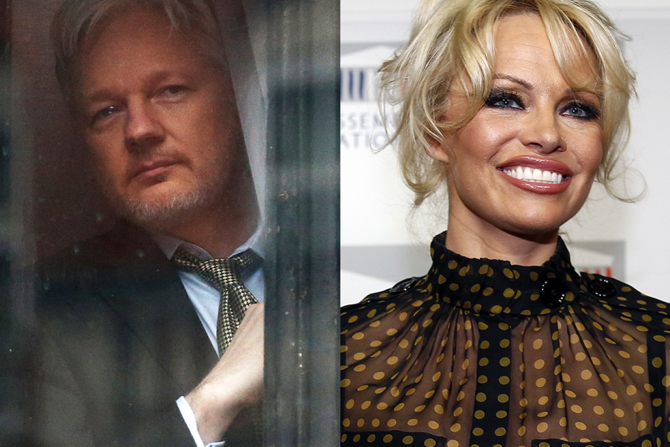 A "personal emergency" has forced actor Pamela Anderson to cancel a visit to see WikiLeaks founder Julian Assange in prison.