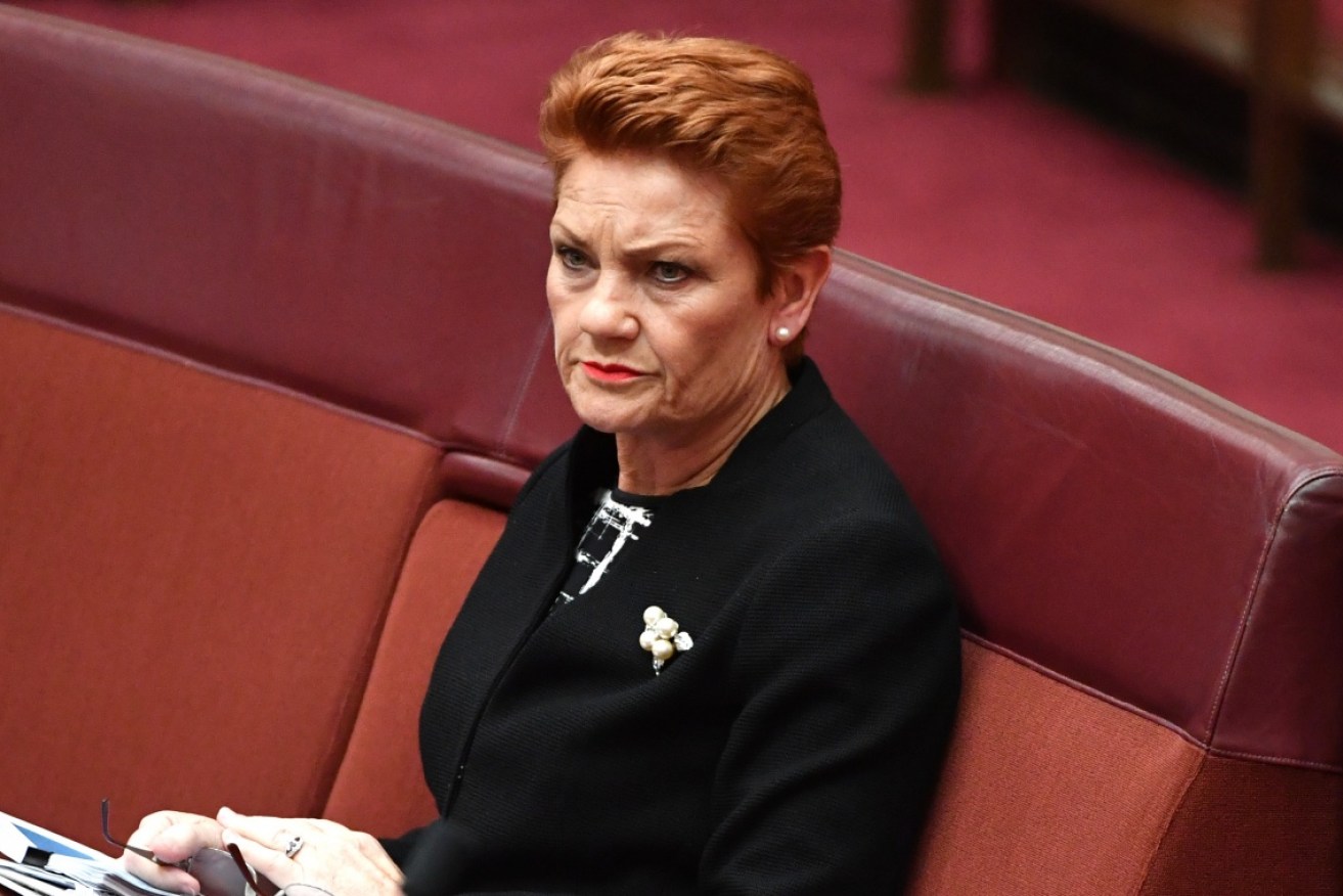 Pauline Hanson was accused of coddling the anti-vax vote during the campaign. 