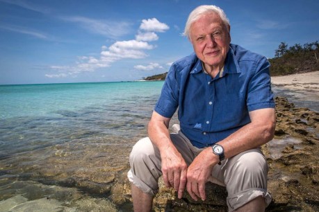 Sir David Attenborough urges urgent action on plastic