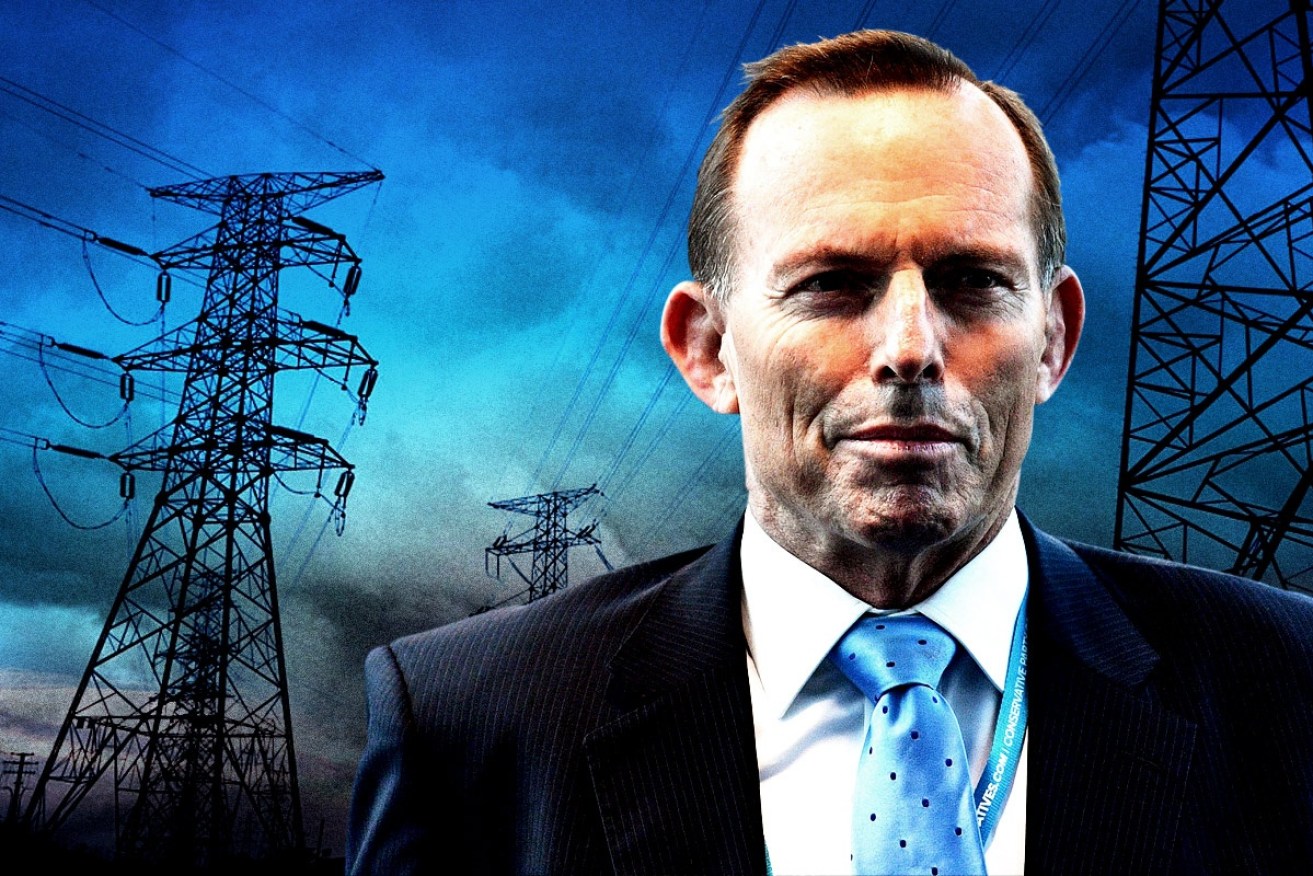 Tony Abbott harnessed conservative opposition to climate-abatement measures to oust Malcolm Turnbull as party leader. 