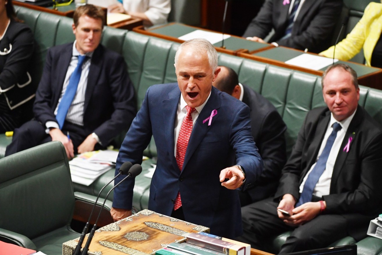 Malcolm Turnbull says Labor should refer its MPs to the High Court. 