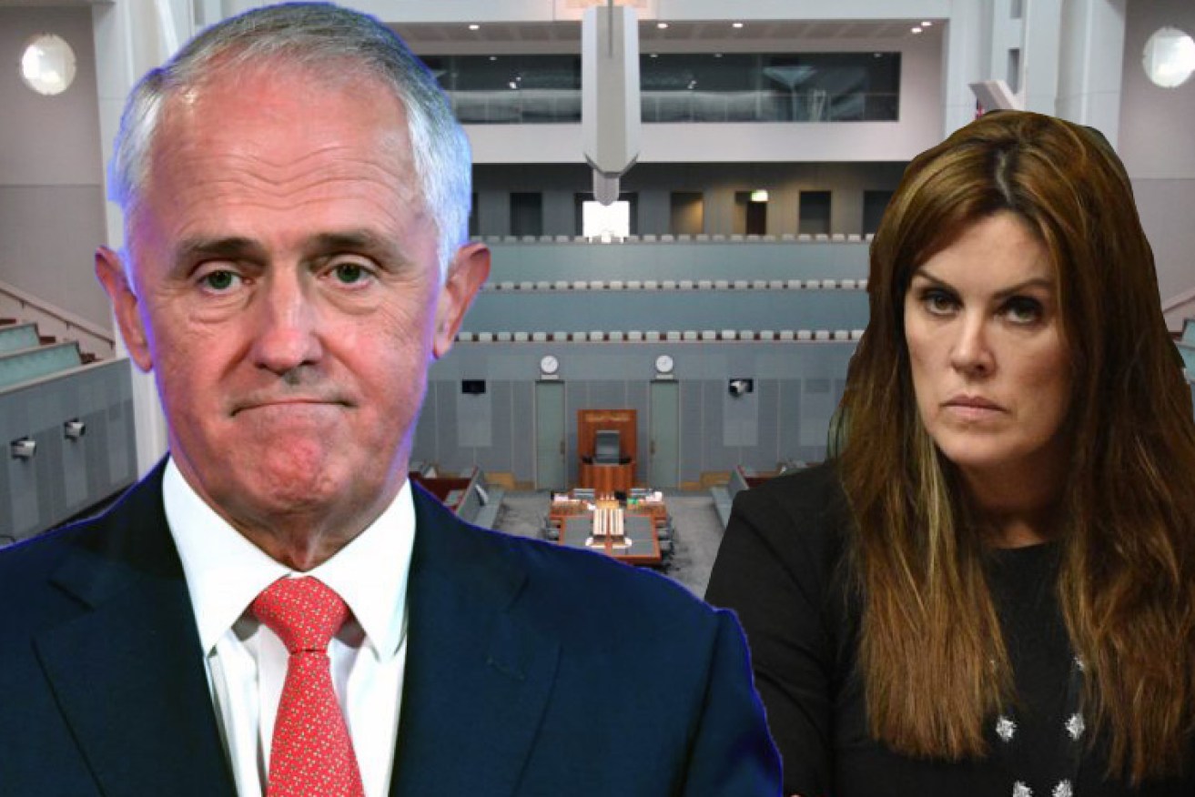 Peta Credlin says the Turnbull government is 'on life support'.