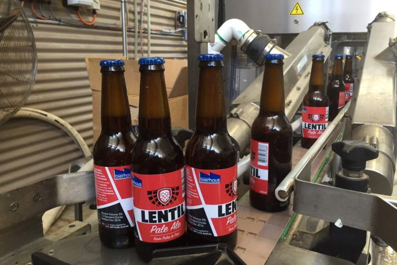 Australia's first lentil beer on the production line.