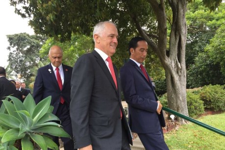 Australia and Indonesia agree to fully restore military ties