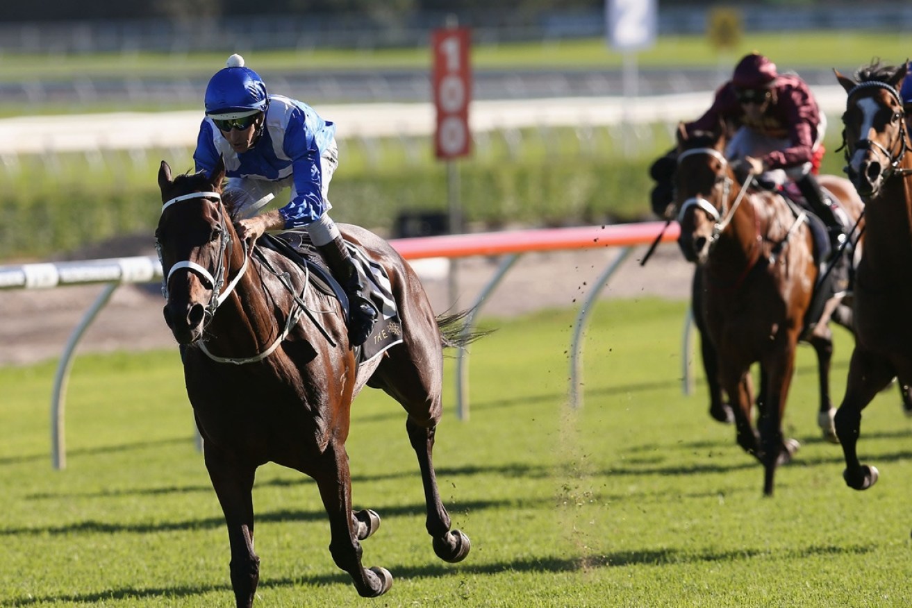 Winx storms to her 14th straight win.