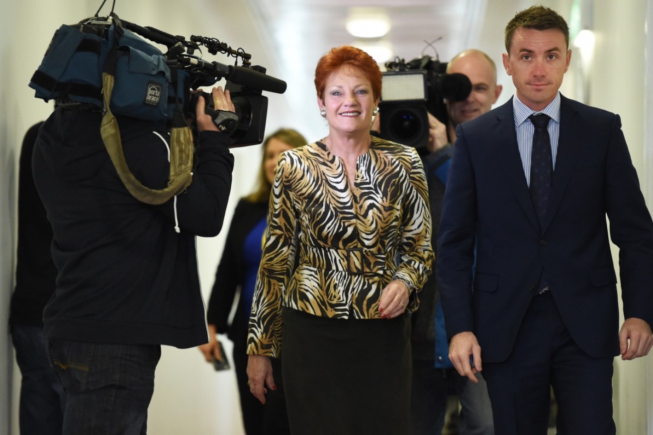 Pauline Hanson and James Ashby have both been criticised over One Nation's operations.