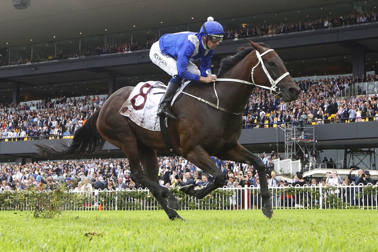 Winx secures her 16th consecutive win before a jubilant crowd in Sydney.