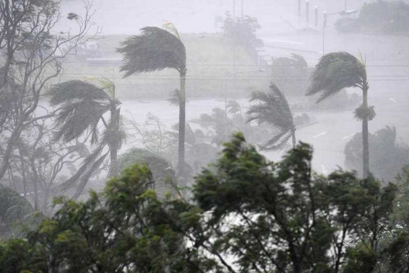Strong winds and heavy wind lash the coast of Queensland at Airlie Beach during Cyclone Debbie. 