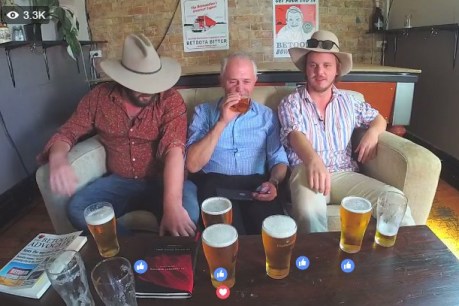 Turnbull turns to drink as Libs go south in the West