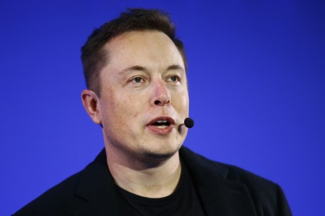 Elon Musk unveils SpaceX spacesuit in Instagram post